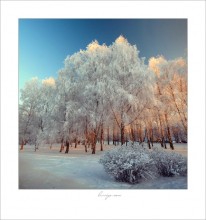 Зимние узоры / С наступающим католическим Рождеством!