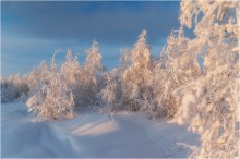 По следам Деда Мороза... / Всех с Наступающим Новым годом!