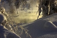 Снежный этюд / Заснеженные деревья на фоне воды