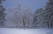 зимний вечер на городской окраине / январь 2013, иней,  примерка зимнего наряда в районе Солнечной в Гомеле... Красивый уголок на городской окраине. Снято на Nikon D90