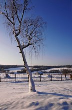 Мураново — усадьба XIX века в деревне Мураново / Мураново — усадьба XIX века в деревне Мураново Пушкинского района Московской области