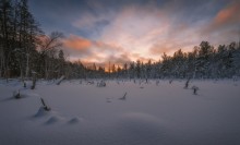 Буйство зимнего рассвета... / тайга ,замёрзшее болото