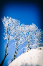 &nbsp; / Мороз и Солнце,
День чудесный, для фрезеровочных работ...
Я люблю Гребенщикова, 
А не наоборот...
© А.Башлачёв