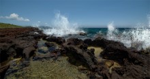 Roatan ~ sea edge / Roatan ~ sea edge