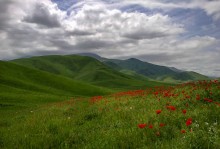 В предвкушении весны / район Тогуз-Булак, Киргизия