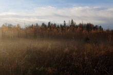 Осенняя / туман