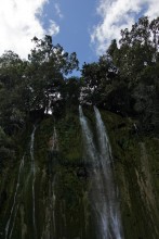 Эль-Лимон. / Эль-Лимон - самый высокий водопад в Доминикане (50 метров), поэтому он быстро превратился в достопримечательность. Добраться до водопада можно от деревни El Limon, где есть несколько ранчо, на которых можно взять в аренду лошадь с погонщиком-проводником. Вода в озере прохладная, но после получасовой прогулки на лошадях и спуска через джунгли окунуться в нем - одно удовольствие.