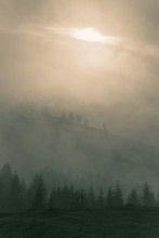 смурное / Карпаты, осень, туман