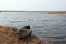 На Припяти / Река Припять  в деревне Ветлы