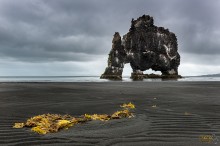 Исландский слоник / Скала Хвитсеркур. Прошлогодний фототур