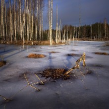 Ты сними, сними меня фотограф / Утренние зарисовки