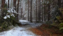 Апрельский снег / Апрельские зарисовки