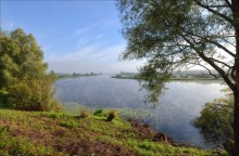 о.Комарин / Летнее утро на озере Комарин.