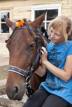 Я люблю свою лошадку / Занятия на конном дворе