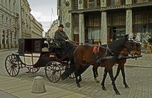 На современных улицах Вены / Конечно всё это для туристов...