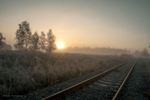 Туманным утром. / Московская область.Дмитровский район.