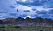 Натуральные цвета / Белая пещера в аймака территории Бага Богдо Mountain на юге Bayanlig сумму , в 40 км к северо- востоку от kh.ö.44 ° 42'43 .3 &quot;, z.u.101 ° 10'13 .8&quot; географическое является solibtsold . Крест на склоне холма на твердой известняка пещерных известняковыми горами сократить глубоко скалы посмотрел на запад, 3,5 метра в ширину и 3,2 метра в высоту населения . Пещера Общая протяженность 44,1 метров и 4,5 метра в высоту , 4,4 м в ширину в среднем . Узкий коридор между четырьмя большими камер, соединенных . Первый туннель 8,0 х 9,6 метров в размере , и вторая камеры снизилась 2,0-3,0 метров. Пещера образована в , вены - , кембрия время старые gantigjsan известняка . Пещера представляет собой горизонтальный характеристики является karstyn пещера . В стенах пещеры крыша кавитационных маленьких бананов вырос и ствол слона никогда не бананы . В третьем зале создал огромный трубопровод . Пещерные стены , большая часть крыши покрыта аморфных кристаллов желтого исландского шпата . Крыша , палаты Bumbugur формируют пол пещеры является плоской. В первой комнате пещеры , 9.0 метров в длину , 3,2 метра в высоту и 3,5 метров в ширину коридор и введите через зал четкой широк . Часть крыши Дома был большой открытый фаллос . Свет зона пещере и внешней переходной области является значительным.