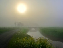 A foggy spring morning. / A foggy morning in my region yesterday.