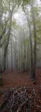 Горный туман / В туманах демерджи