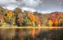 Transparent Autumn (@ Gatineau ) / Transparent Autumn (@ Gatineau )