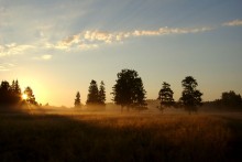Раннее утро / Недалеко от райцентра в Нижегородской области