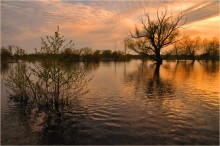 Вешние воды / Апрельский вечер в разливе