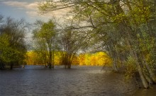 morning @ Petrie Isl. / morning @ Petrie Isl.
