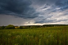 Перед дождём. / fields of gold