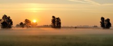 A carpet  of fog. / A foggy sunrise in my region.