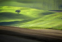 Tuscan velvet / Light across the Tuscan fields...
