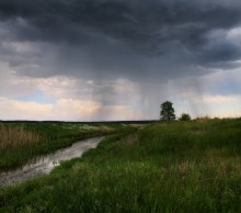Убегая от дождя / Природа Беларуси