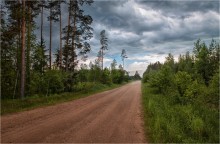 После летнего дождя / Природа Беларуси