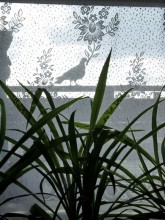 &nbsp; / Голубь мира