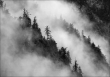 Диагонали тумана / Австрия