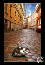  / Riga