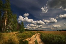 Просёлок / дорожка вдоль опушки