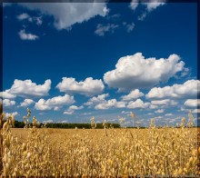 Родная земля / Лето в Тверской области