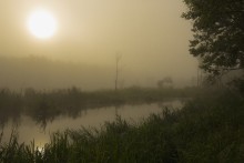 у лешего / утренний туман среди болот