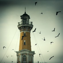 Тимур Кострома. Пожарная каланча в окружении птиц / https://life.kostromka.ru/belfry-6878/
Кострома 2014