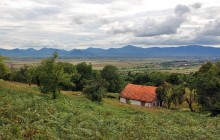 В заброшенных садах / Хустский раен, Закарпатье.