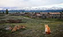 Созерцание... / Contemplation (Altai, near the Mongolian border)