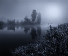 Монохромность утреннего тумана / Природа Беларуси