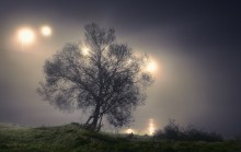 medytacja mgły / ...