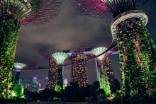 Футуристические сады / Футуристические сады Сингапура