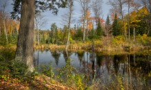 Transparent Autumn (@ Gatineau ) / Transparent Autumn (@ Gatineau )