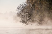 Дыхание осени / Утро, октябрь 2014г.