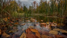 Transparent Autumn (@ Gatineau ) / Transparent Autumn (@ Gatineau )