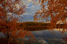 Березы / Осенний вечер