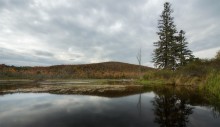 Transparent Autumn (@ Gatineau ) / Transparent Autumn (@ Gatineau )