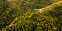 Осенние диагонали / осень в горах